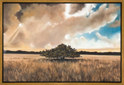 Having Faith During the Storm