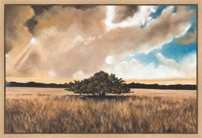 Having Faith During the Storm