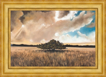 Having Faith During the Storm