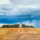 Stormy Skies