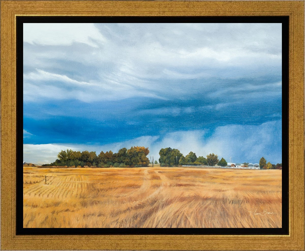 Stormy Skies Gallery Wrap