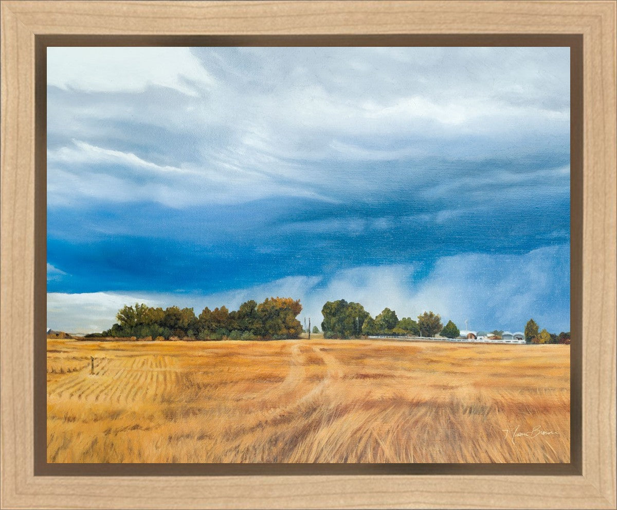 Stormy Skies Gallery Wrap