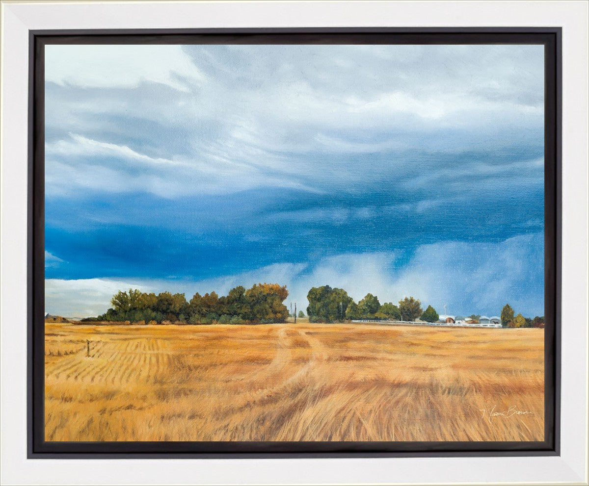 Stormy Skies Gallery Wrap