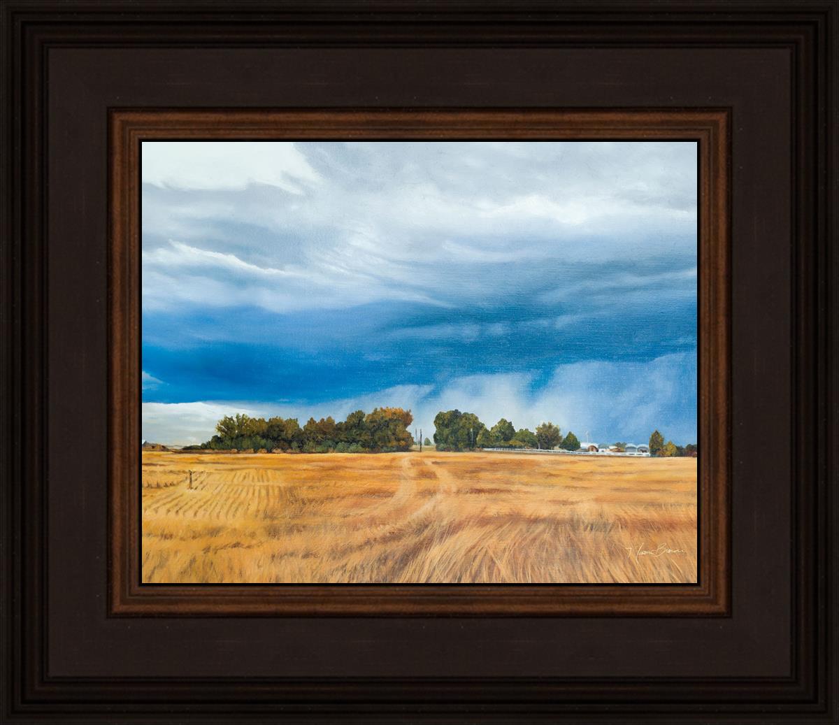 Stormy Skies