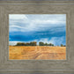 Stormy Skies