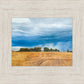 Stormy Skies