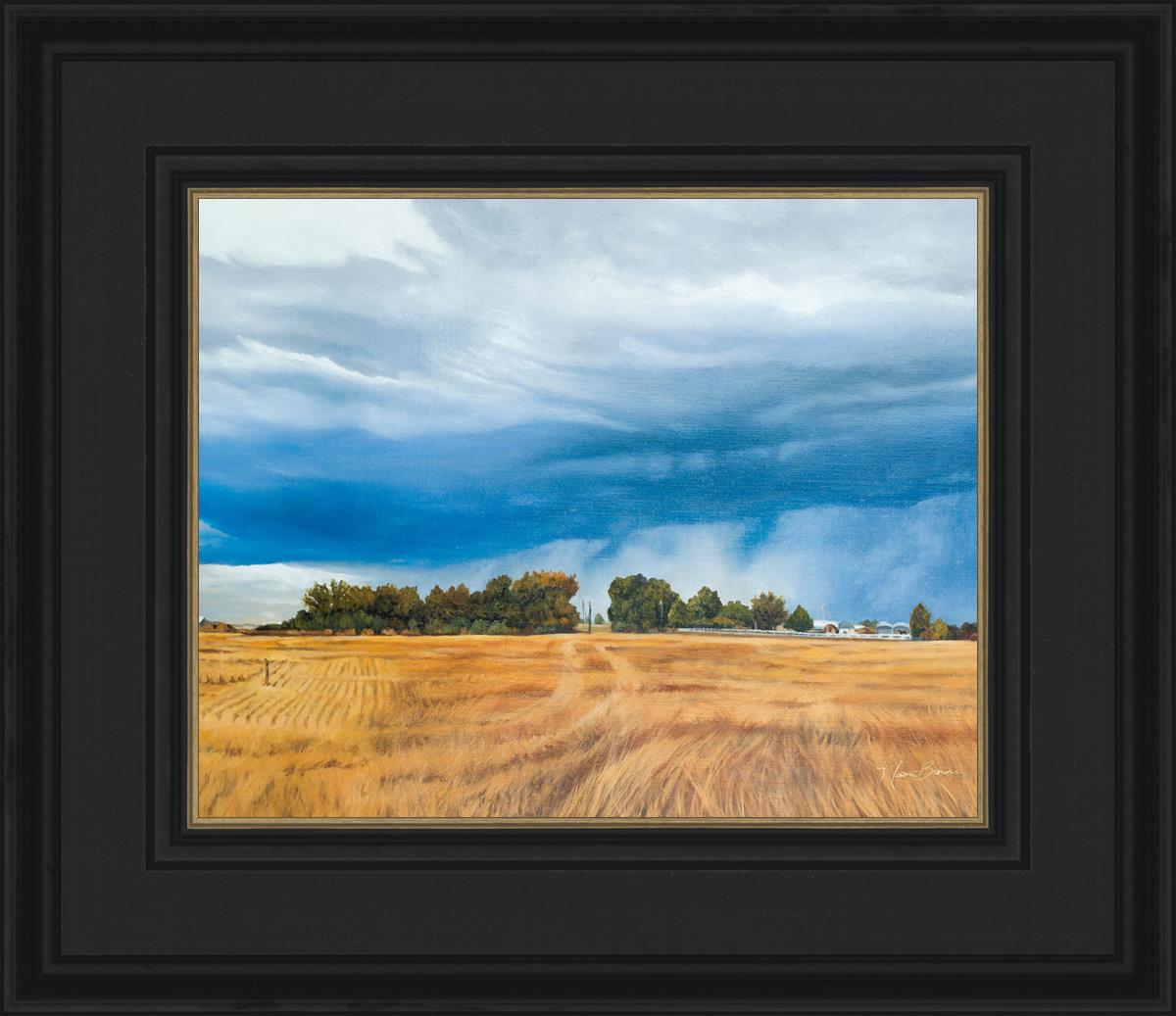 Stormy Skies