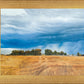 Stormy Skies