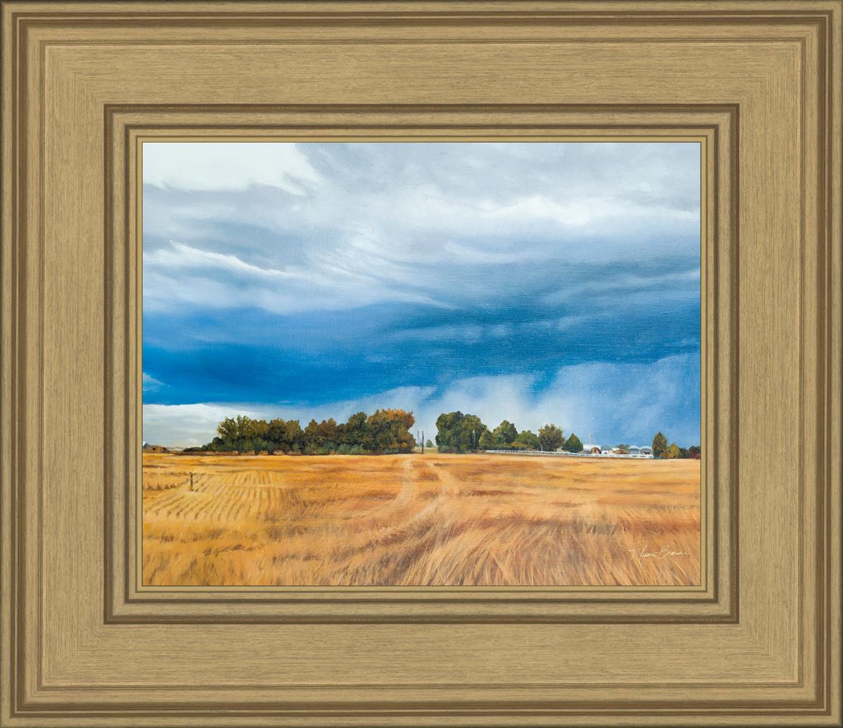 Stormy Skies