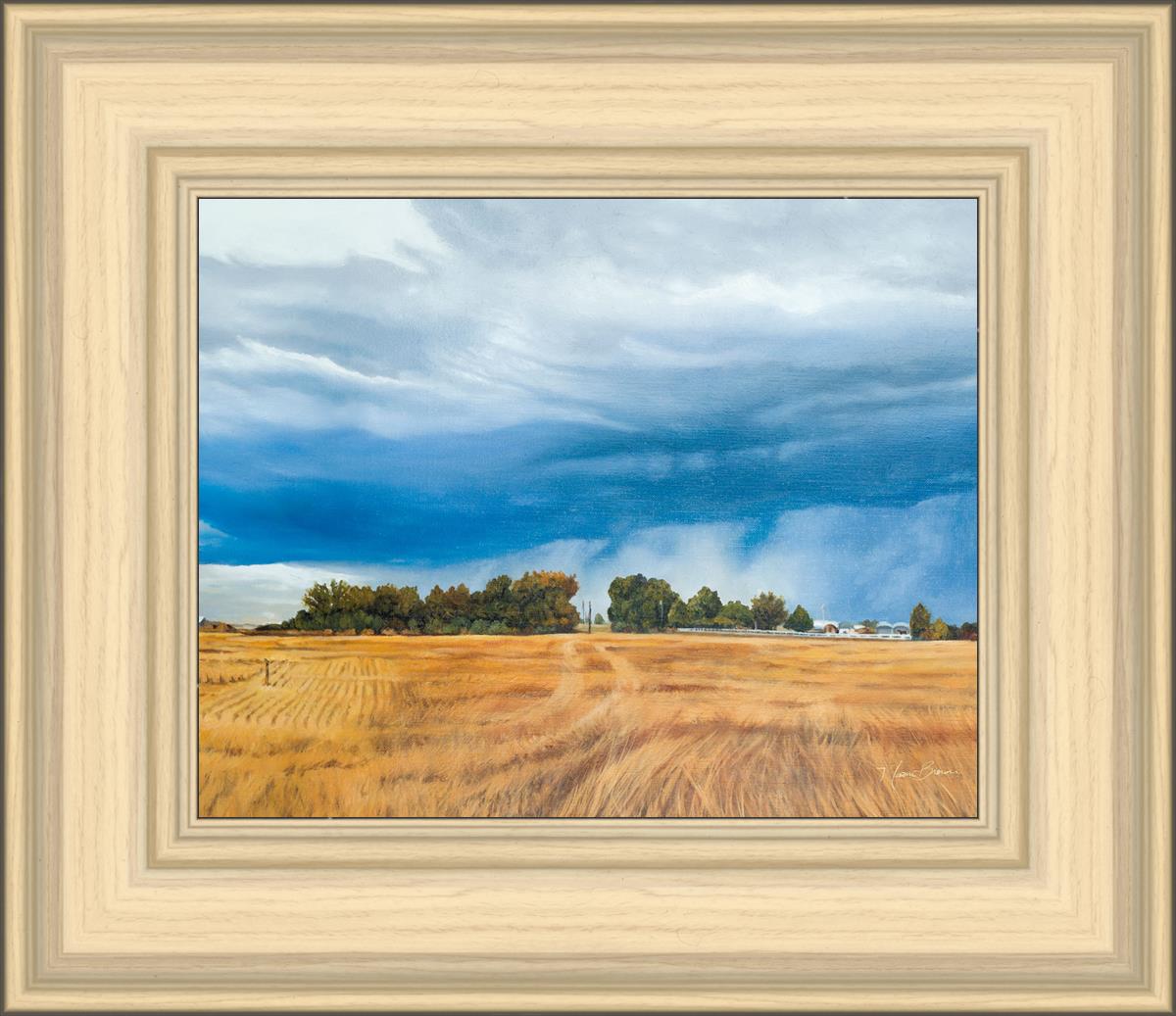 Stormy Skies