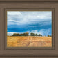 Stormy Skies