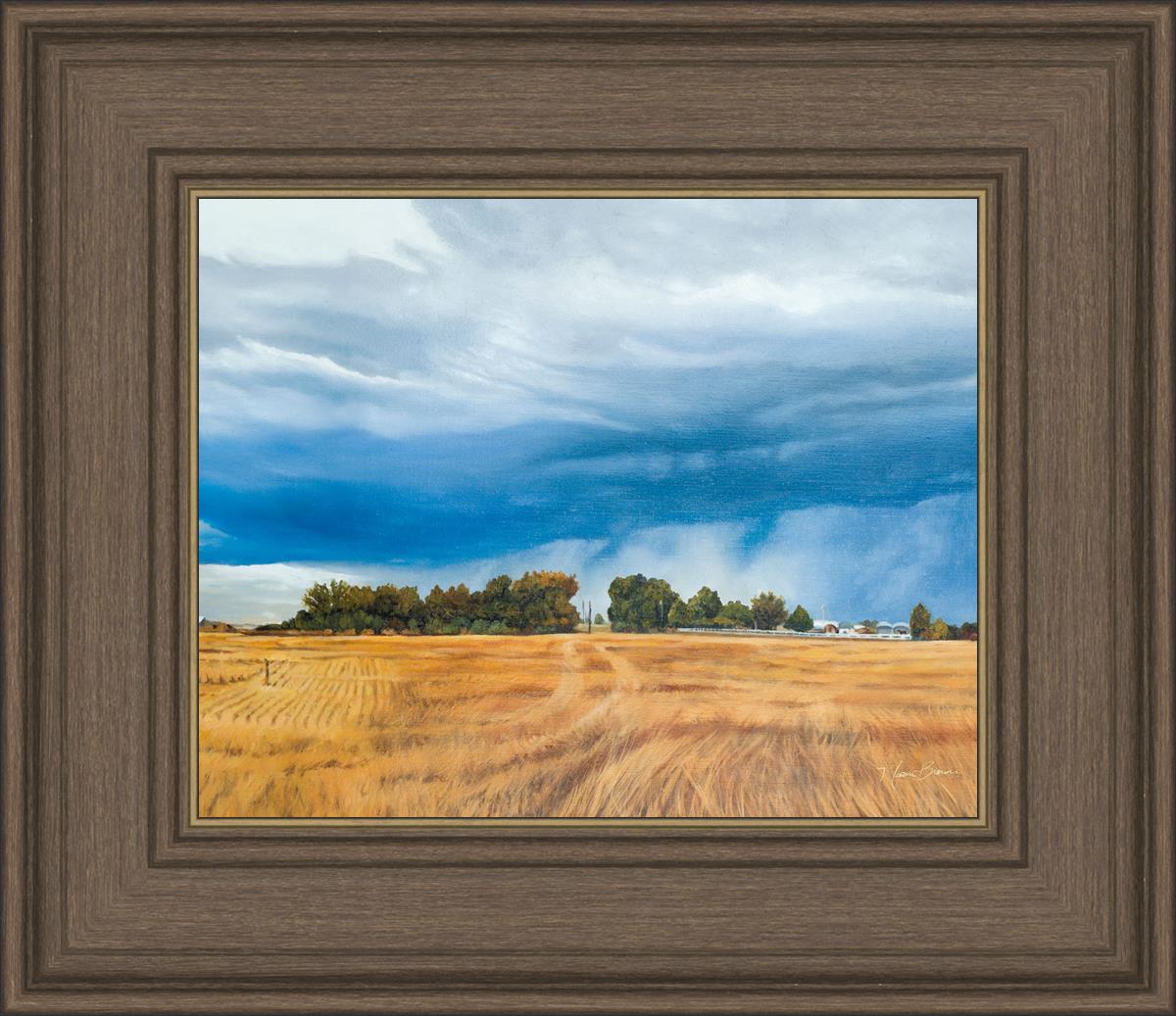 Stormy Skies