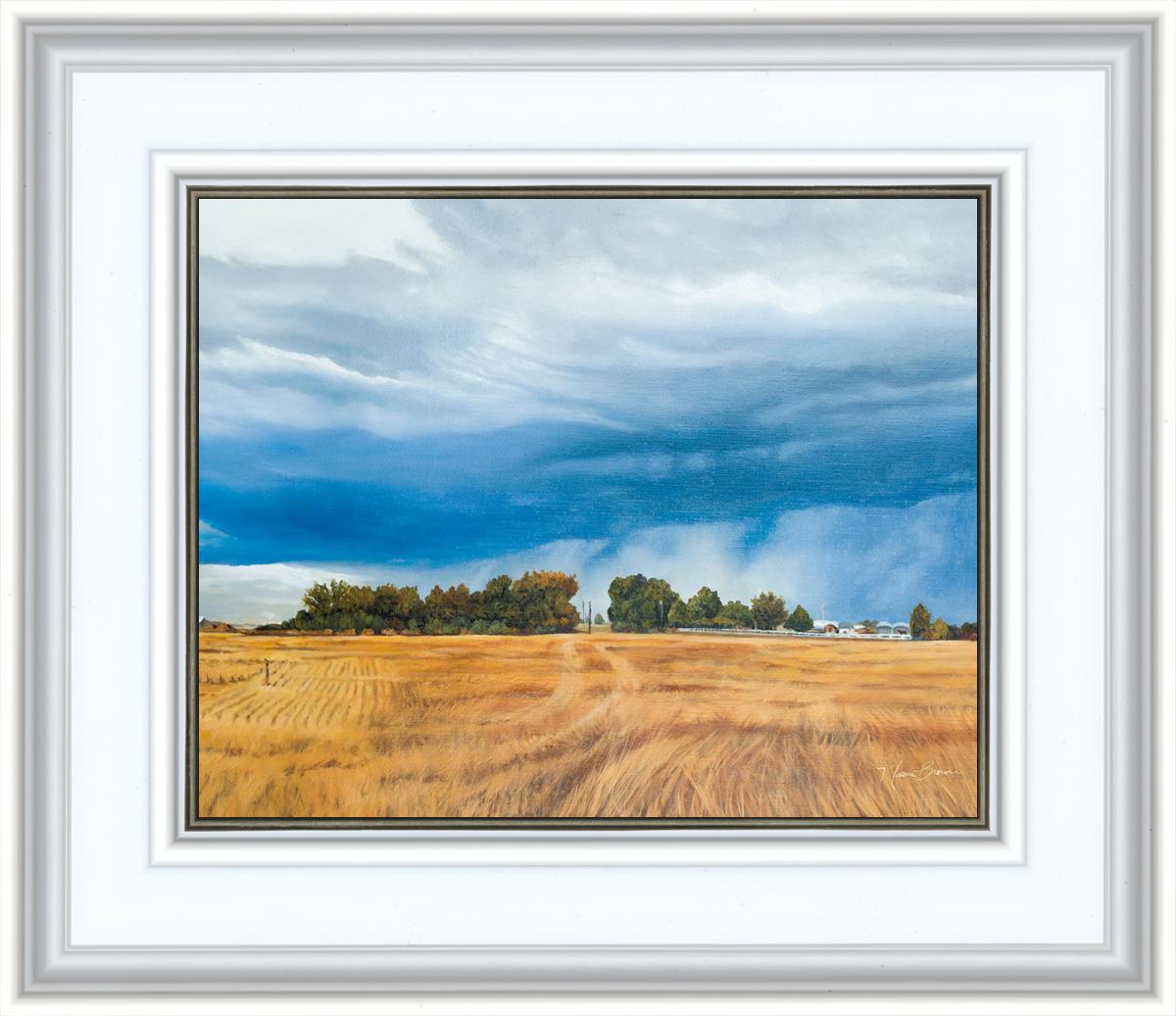 Stormy Skies