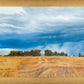 Stormy Skies