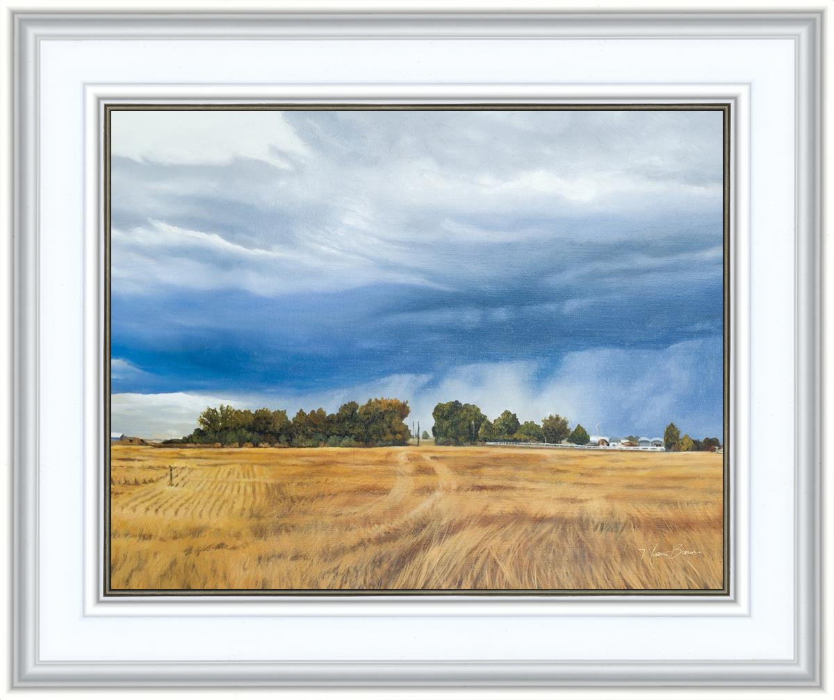 Stormy Skies
