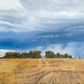 Stormy Skies