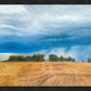 Stormy Skies
