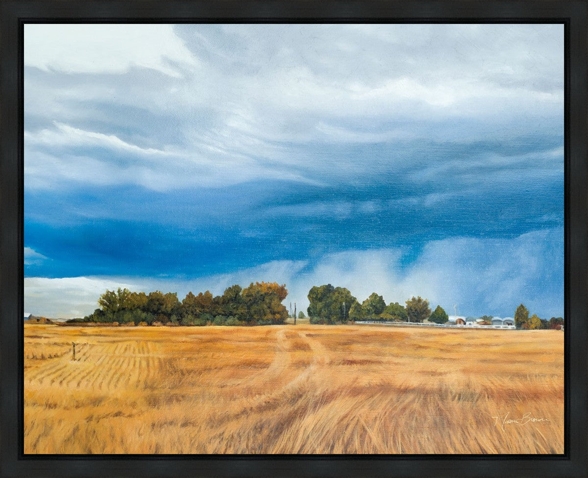 Stormy Skies Gallery Wrap