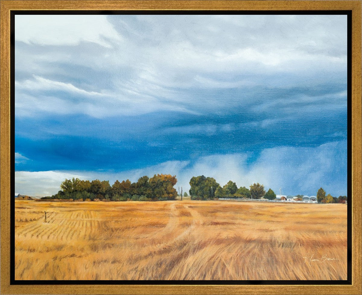 Stormy Skies Gallery Wrap
