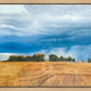 Stormy Skies