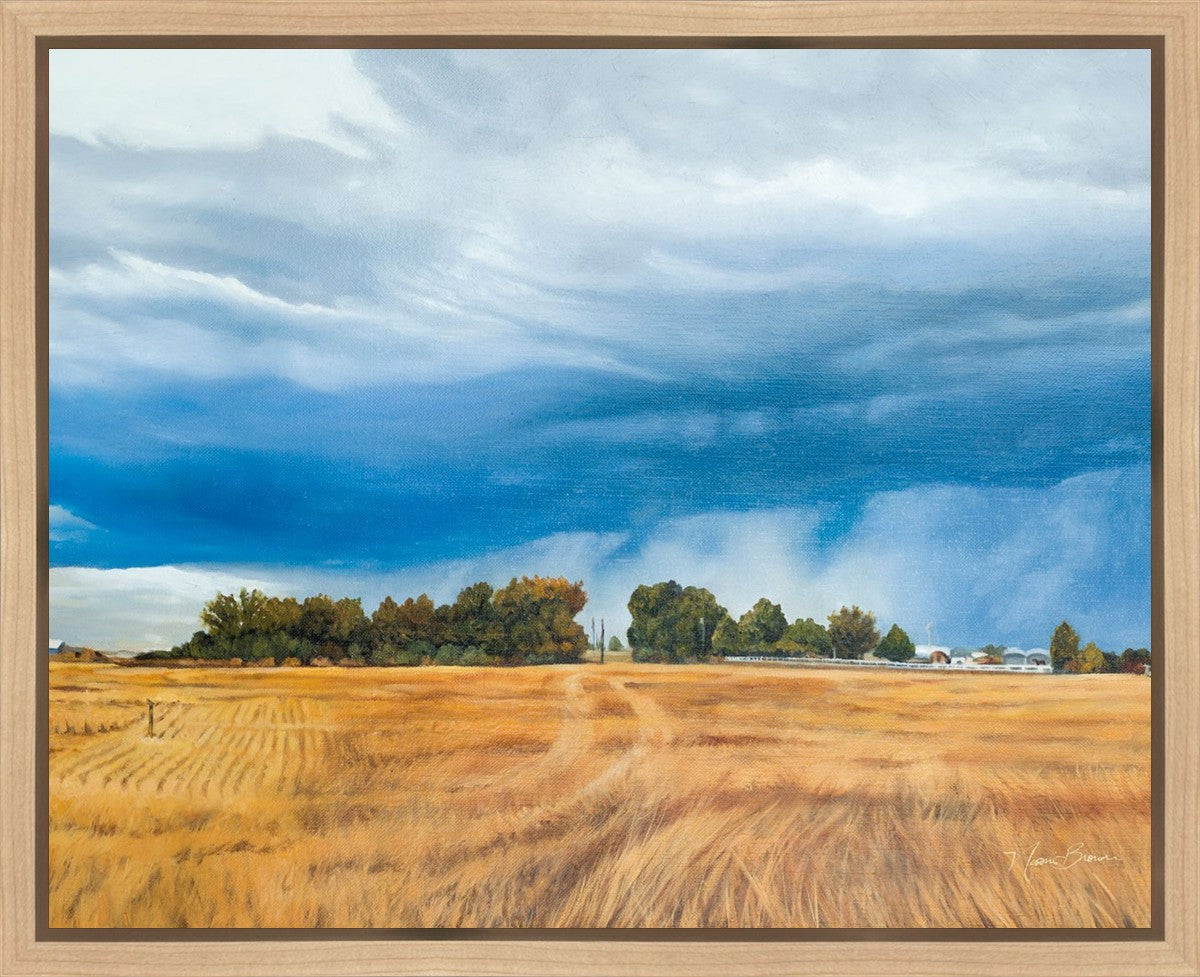 Stormy Skies Gallery Wrap