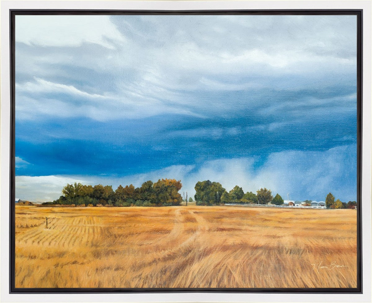 Stormy Skies Gallery Wrap