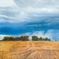 Stormy Skies