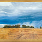 Stormy Skies