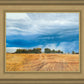 Stormy Skies