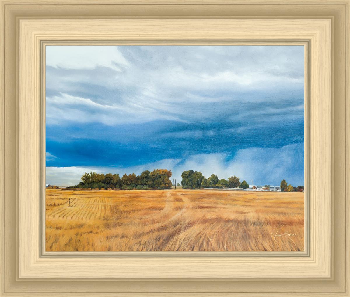 Stormy Skies