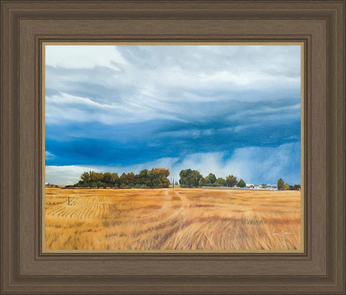 Stormy Skies