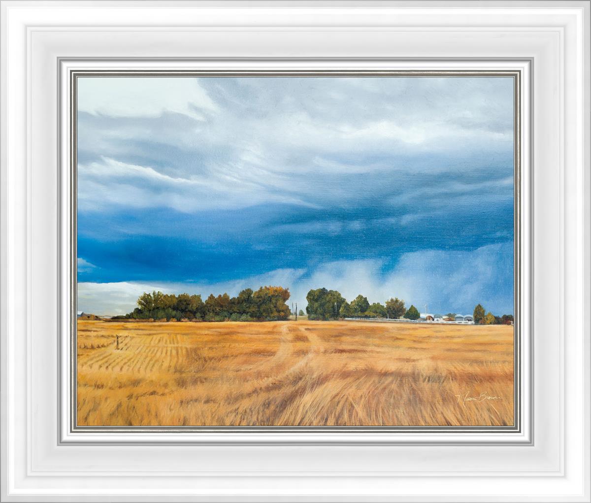 Stormy Skies