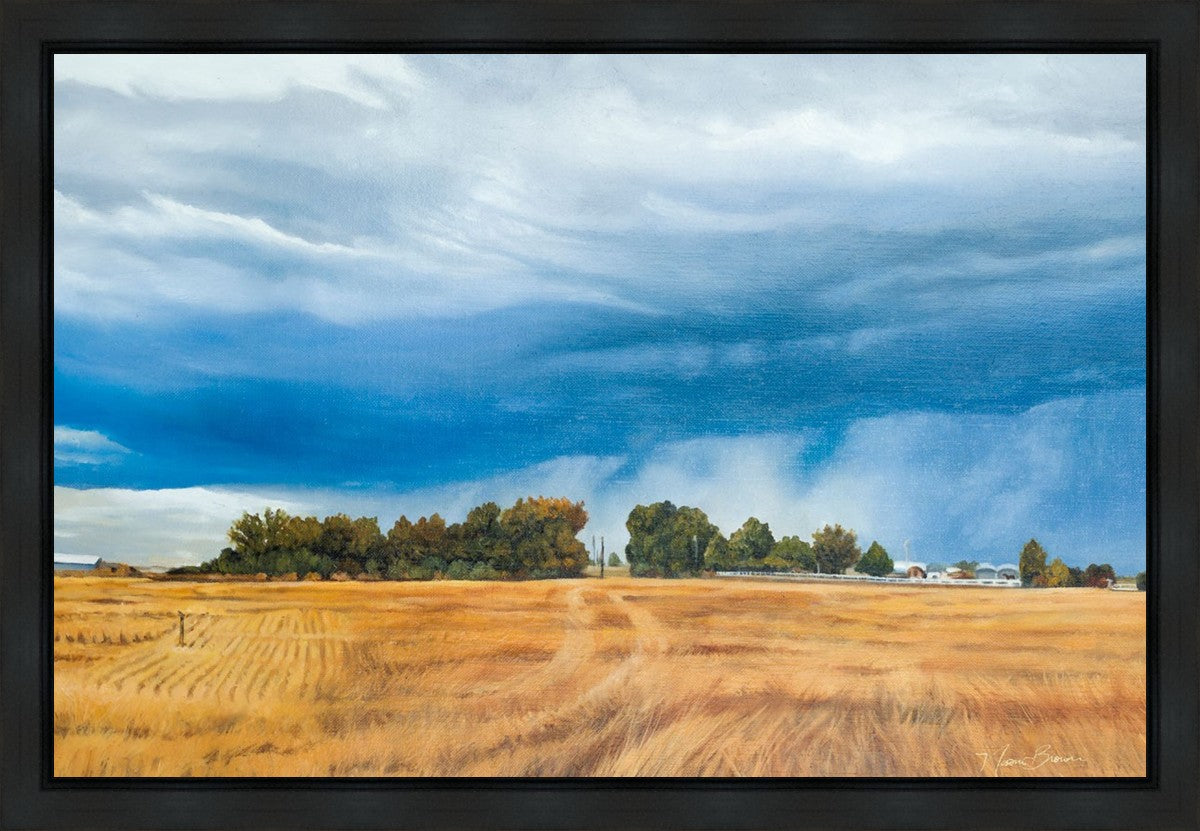 Stormy Skies Gallery Wrap