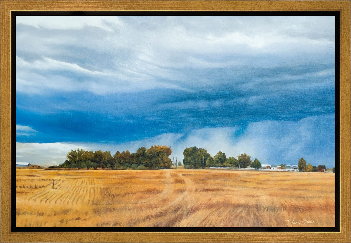 Stormy Skies Gallery Wrap