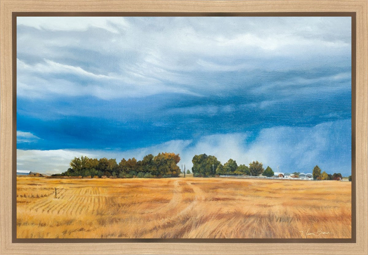 Stormy Skies Gallery Wrap