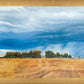 Stormy Skies
