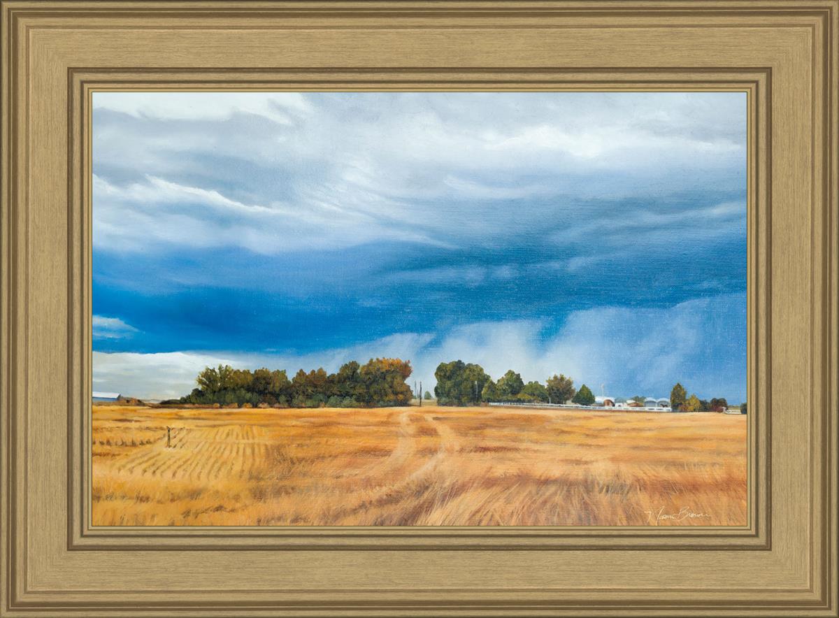 Stormy Skies