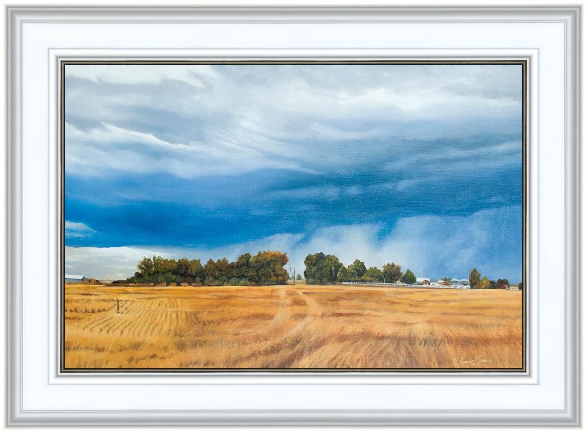 Stormy Skies