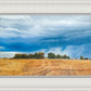 Stormy Skies