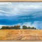 Stormy Skies
