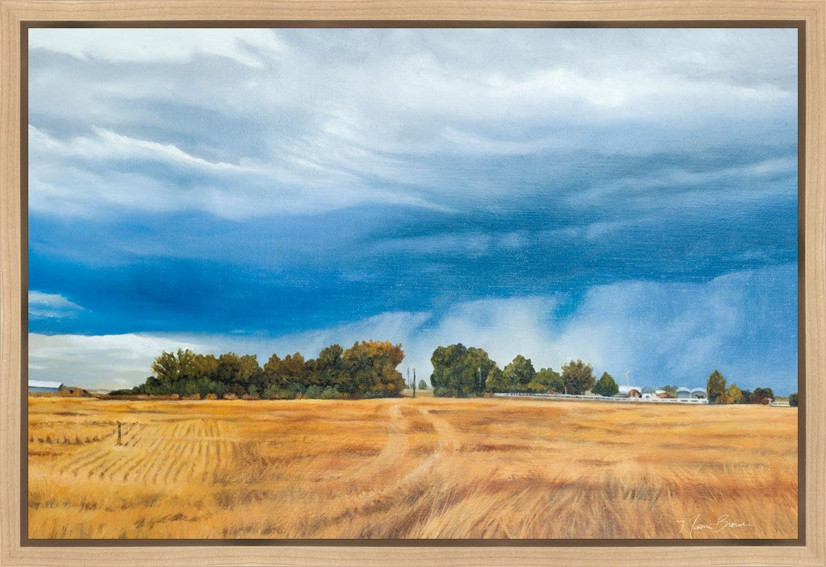 Stormy Skies Gallery Wrap