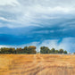 Stormy Skies