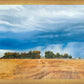 Stormy Skies