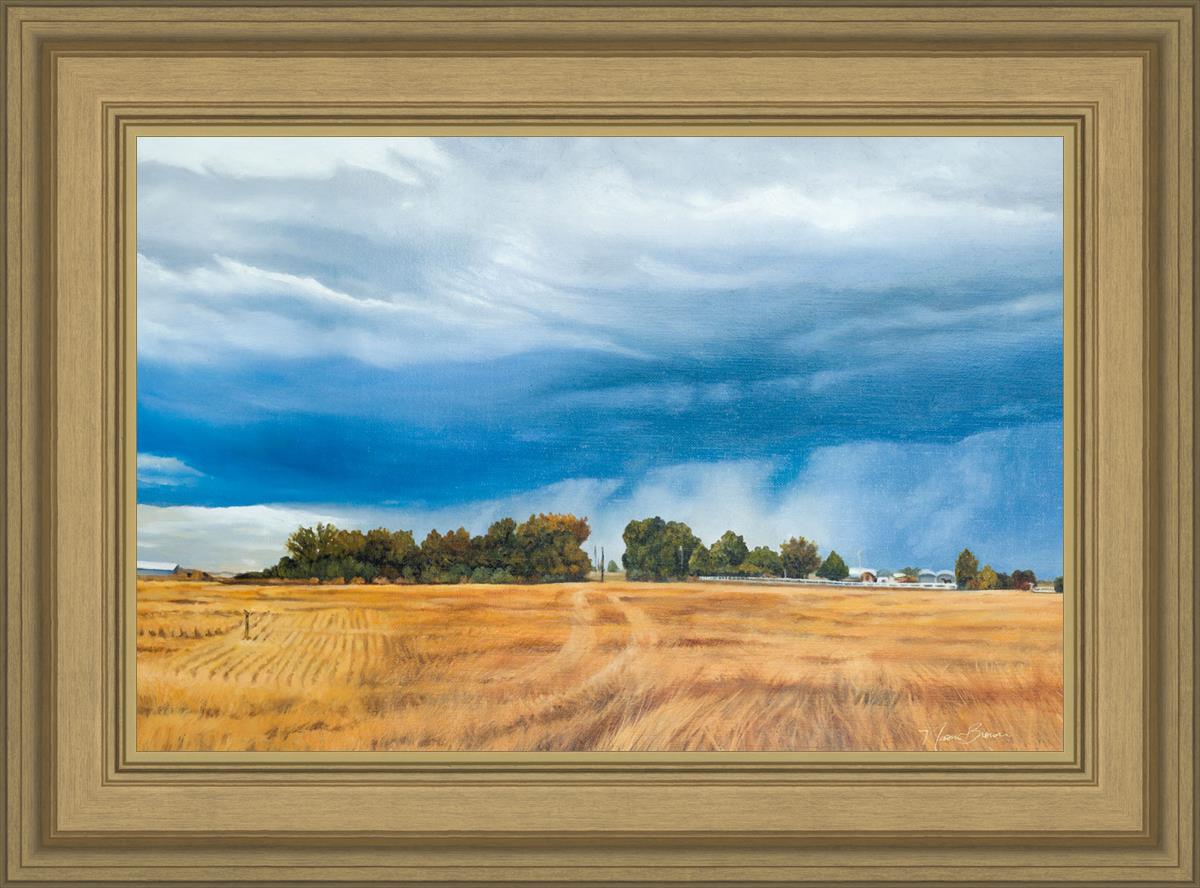 Stormy Skies