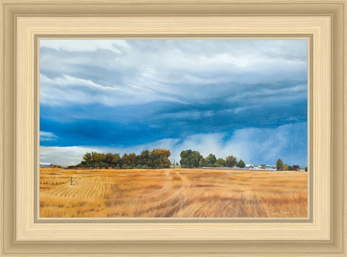 Stormy Skies