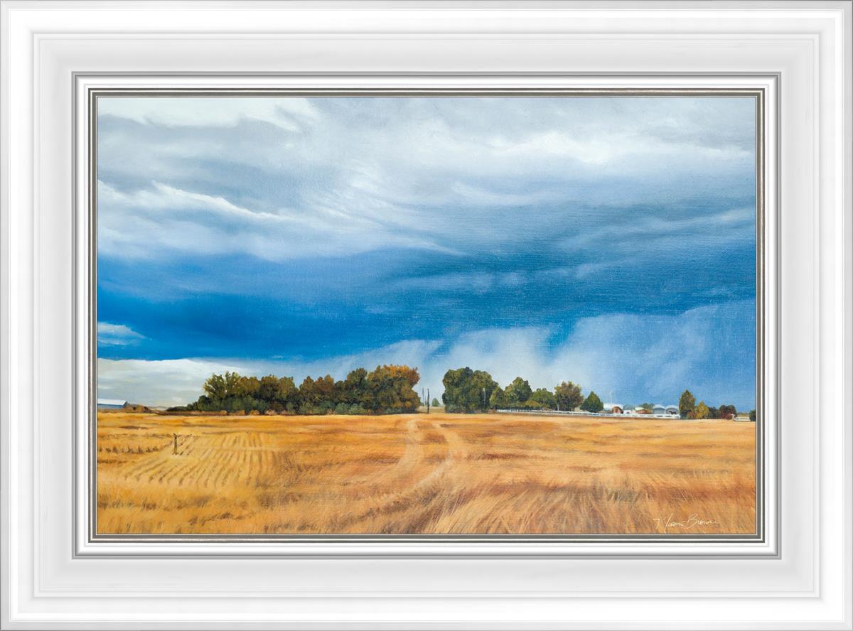 Stormy Skies