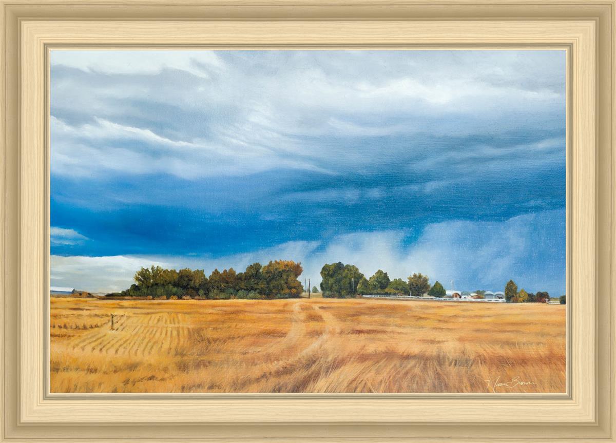 Stormy Skies