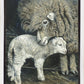A Mother's Embrace