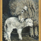 A Mother's Embrace