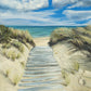 Enjoy the Beauty on your Broken Path Seashore